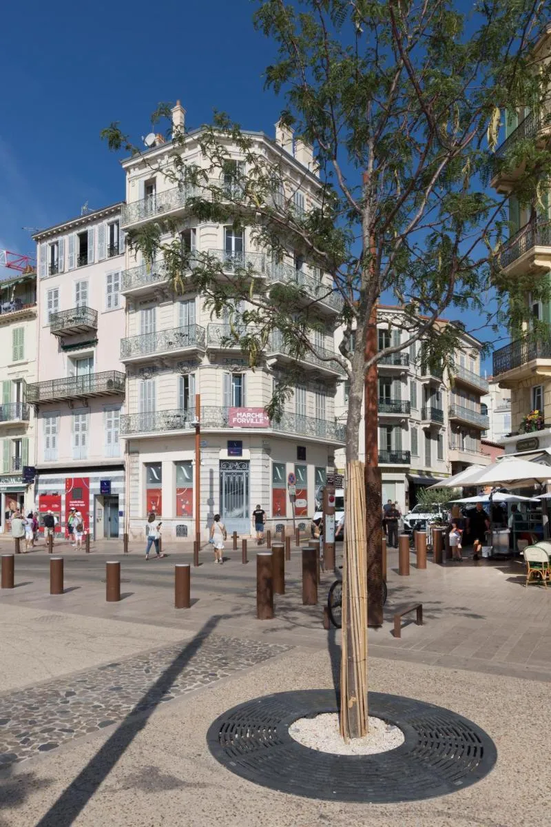 Image 5 of Casa Josa – Palm Beach