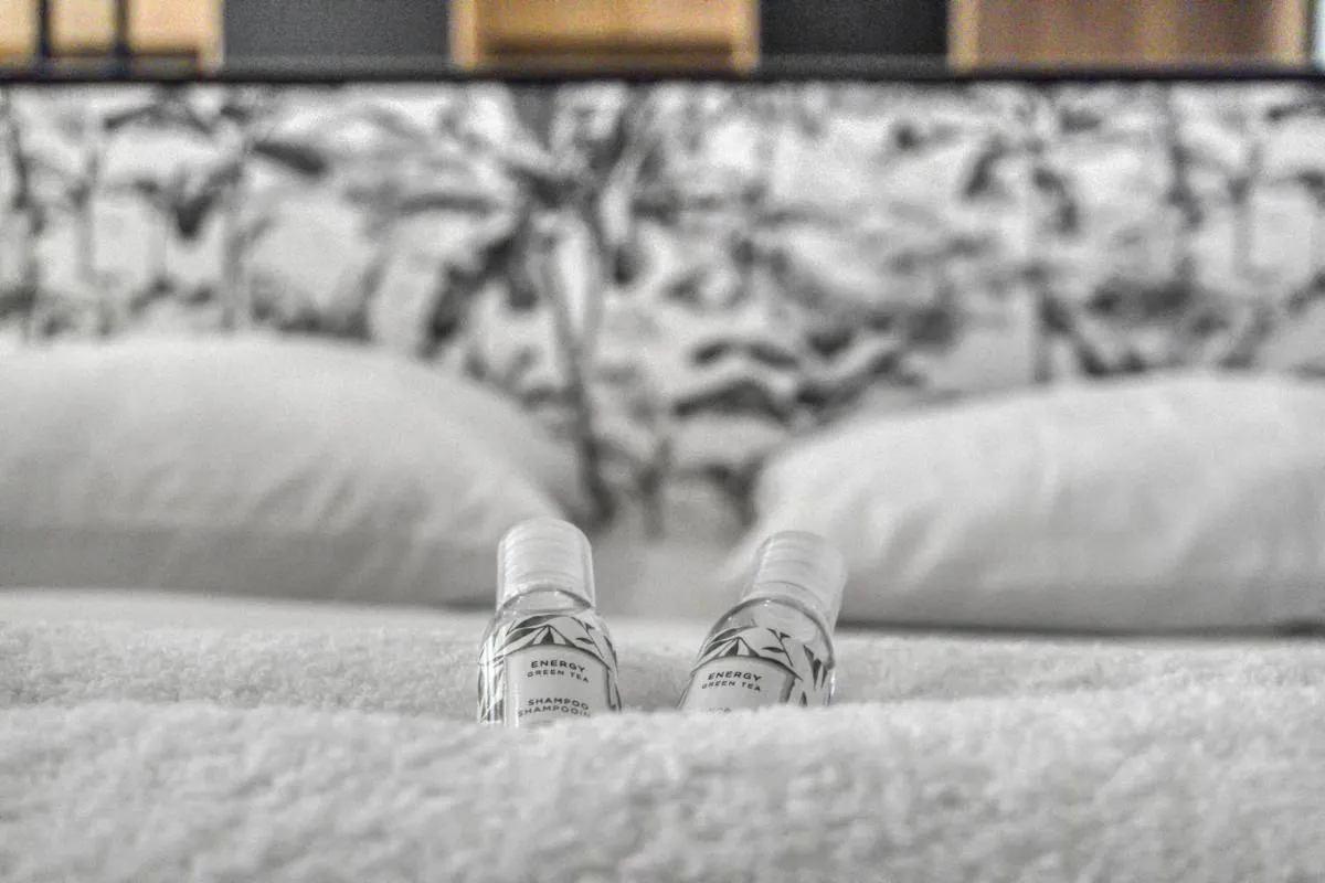 Image 3 of F2 rue St honoré D ,Hypercentre à 2 minutes du Palais des congrès