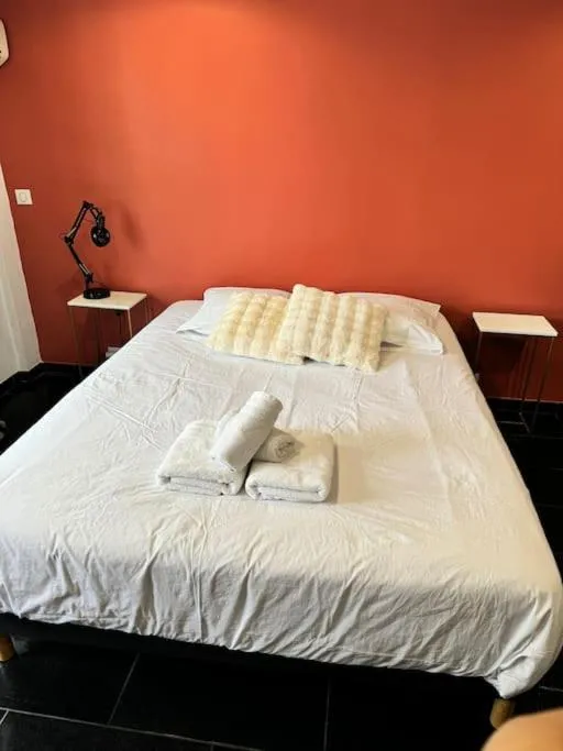 Image 6 of Grand Studio Centre Cannes