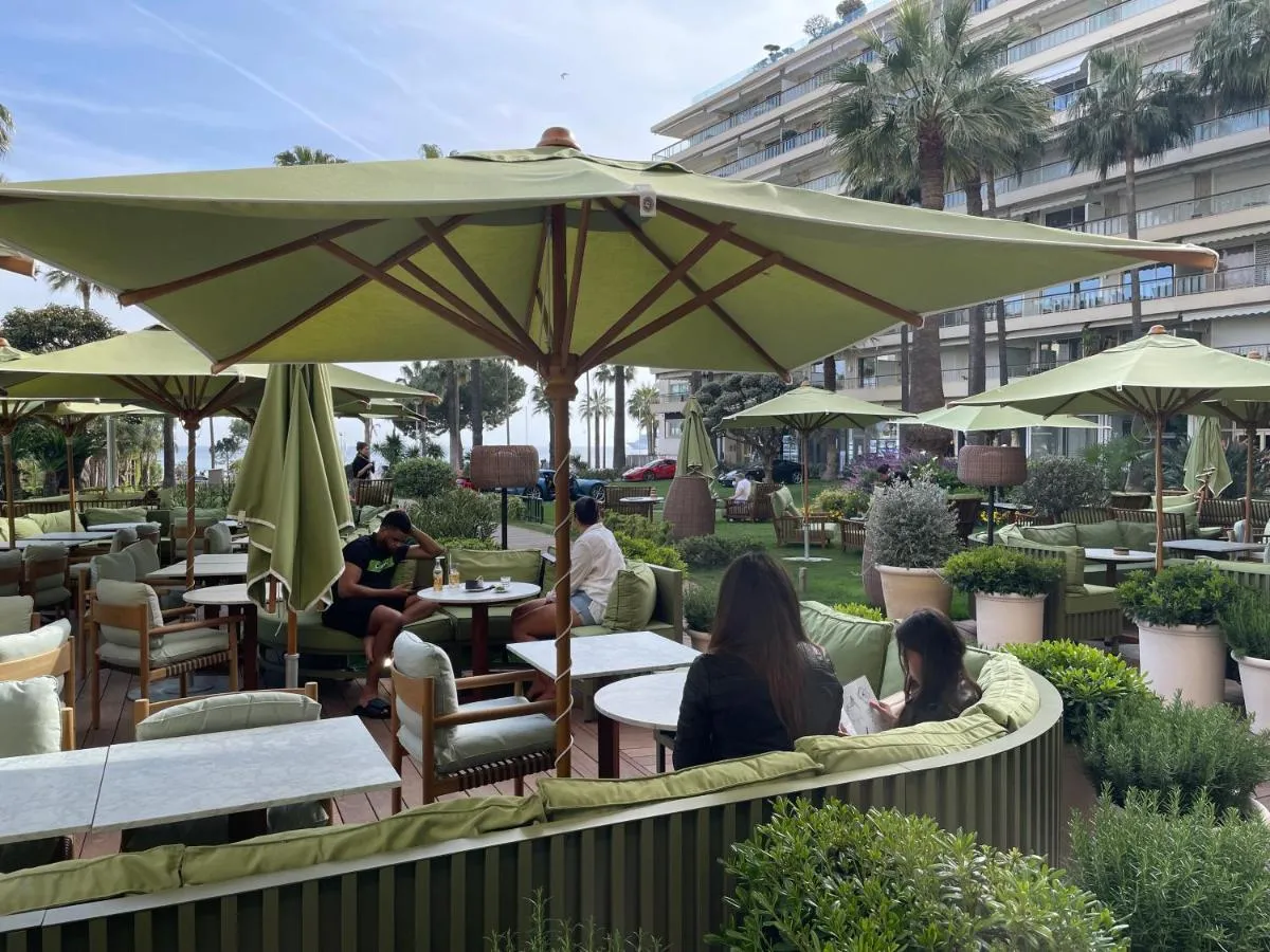 Image 5 of Ibis croisette