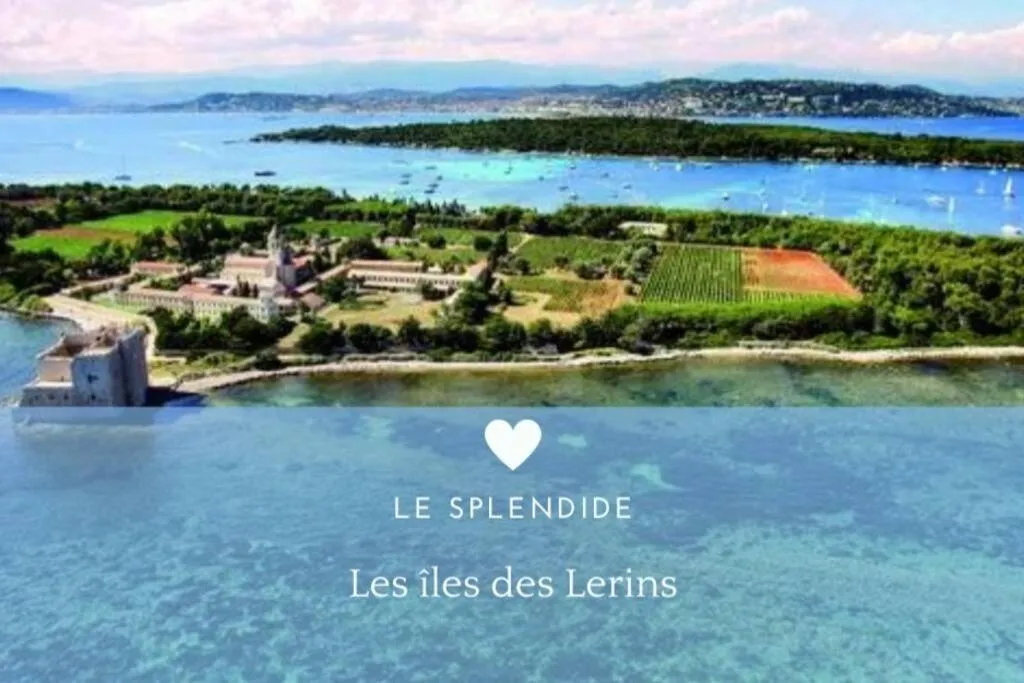 Image 5 of Le Splendide by Connexion