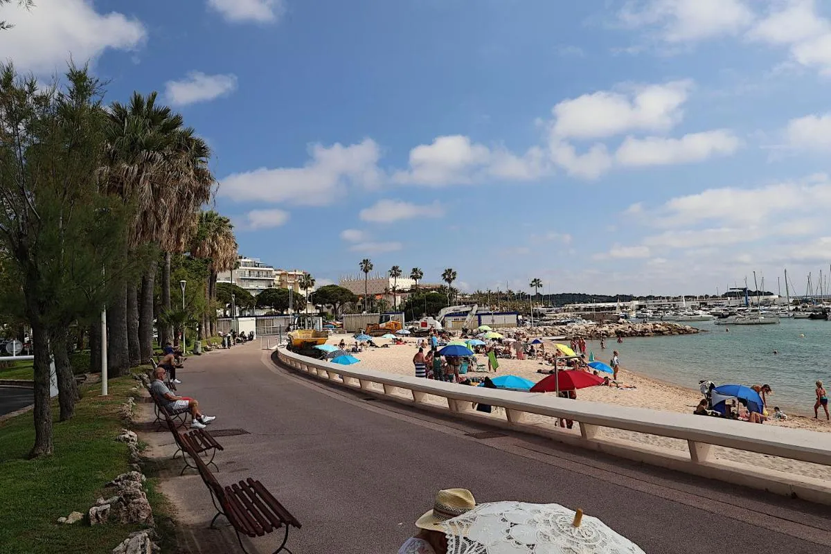 Image 1 of Les Fleurs