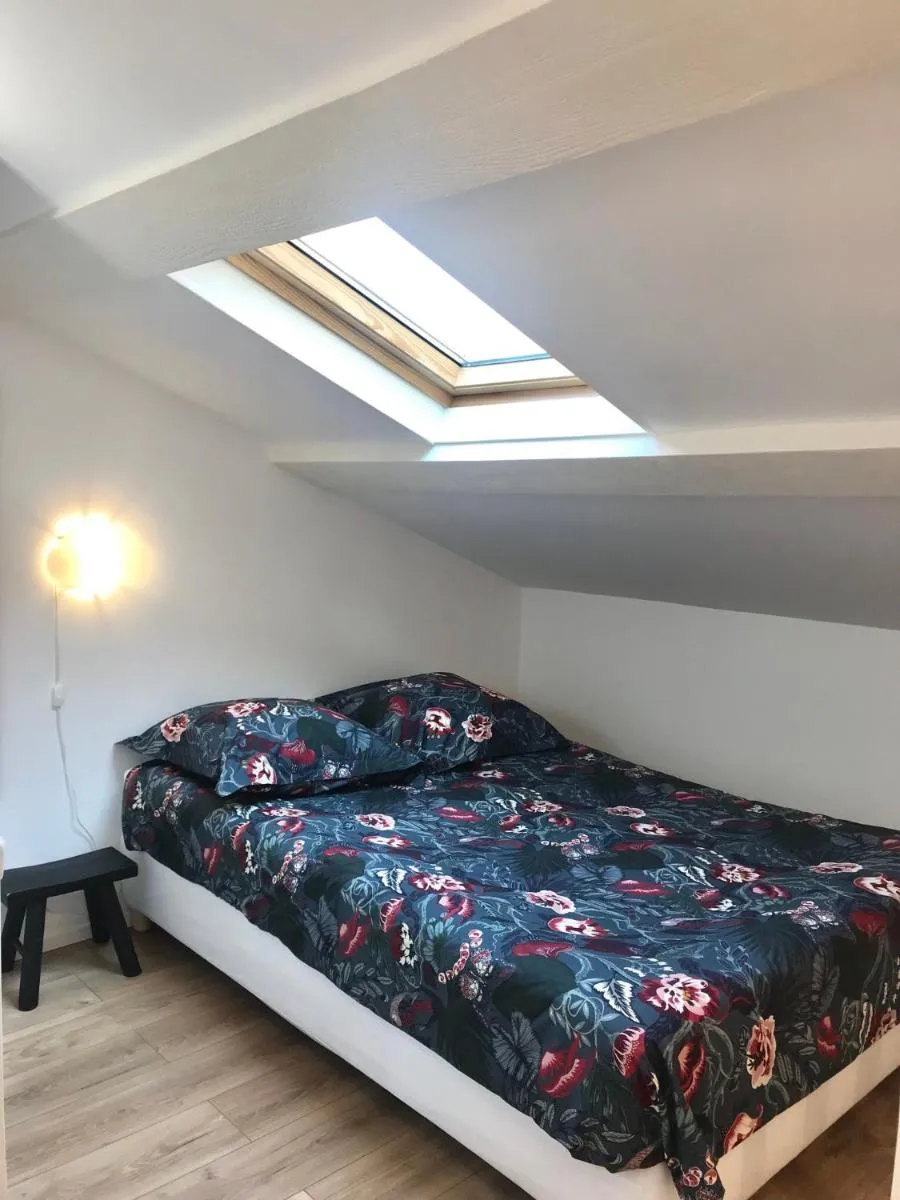 Image 3 of Palma rosa