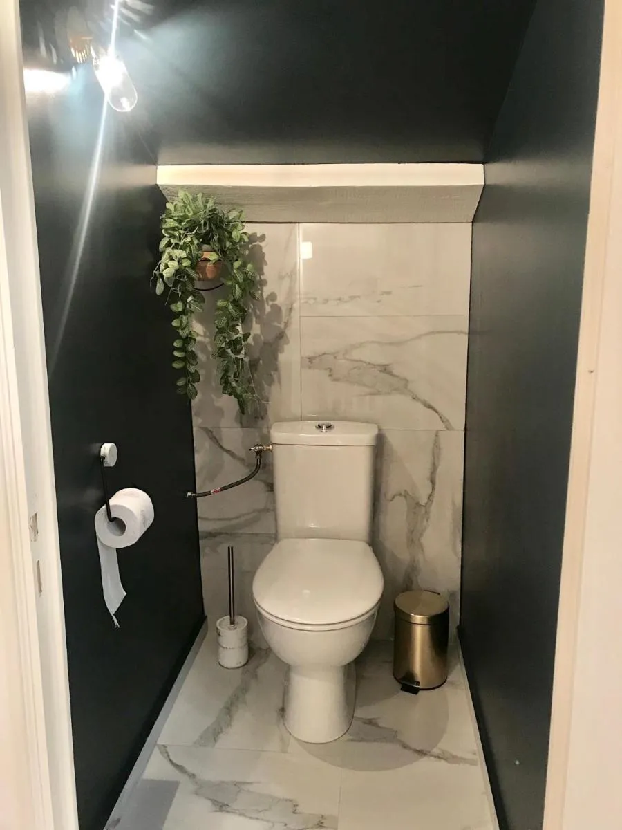 Image 4 of Palma rosa