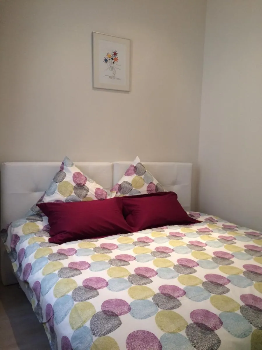 Image 2 of Palme d’hote