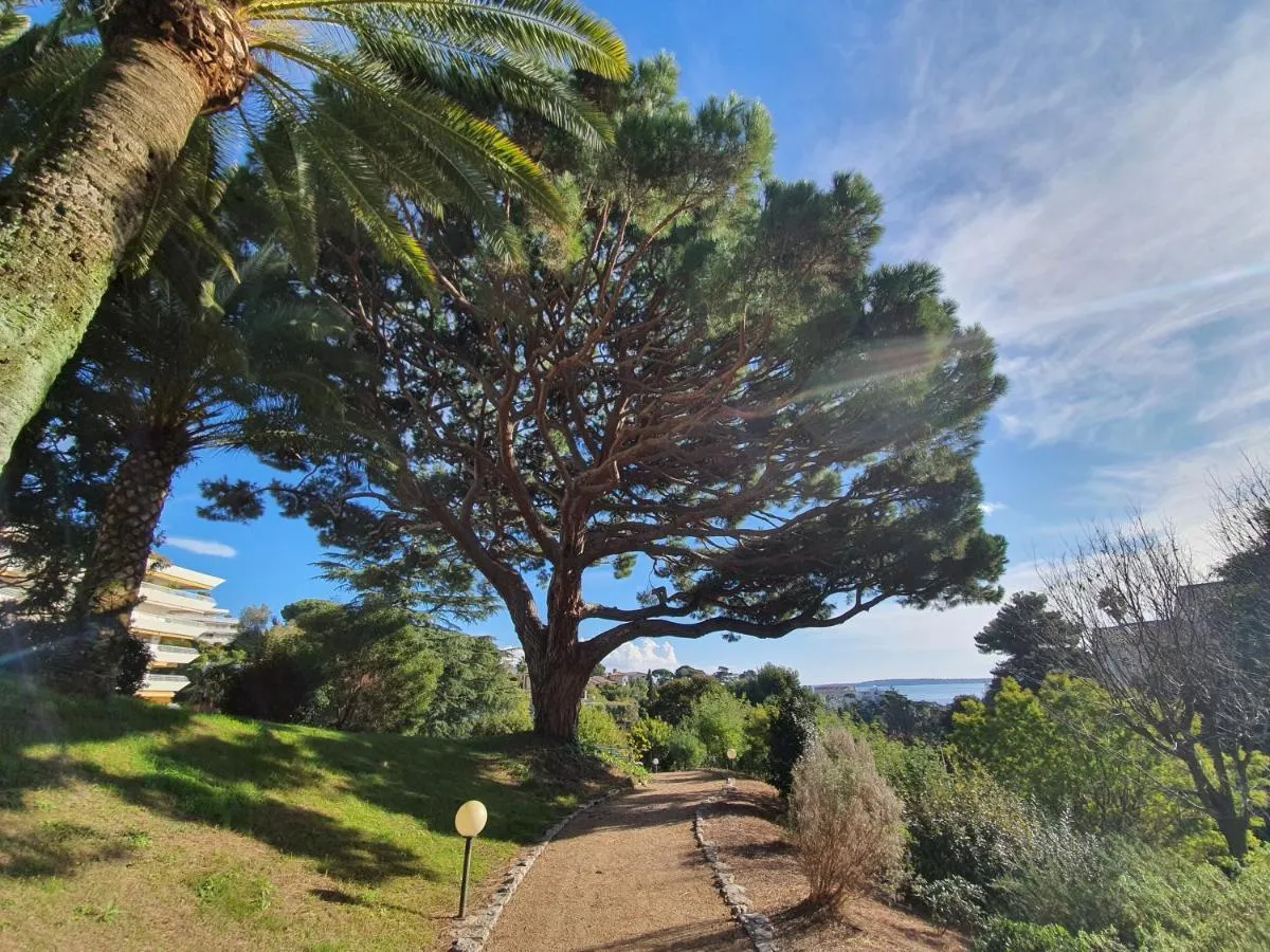 Image 1 of Solezia appartement, piscine et vue mer, by Welcome to Cannes