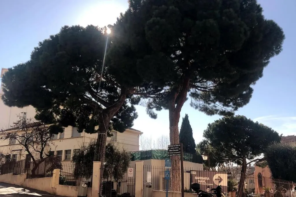 Image 2 of Studio cosy en plein centre-ville