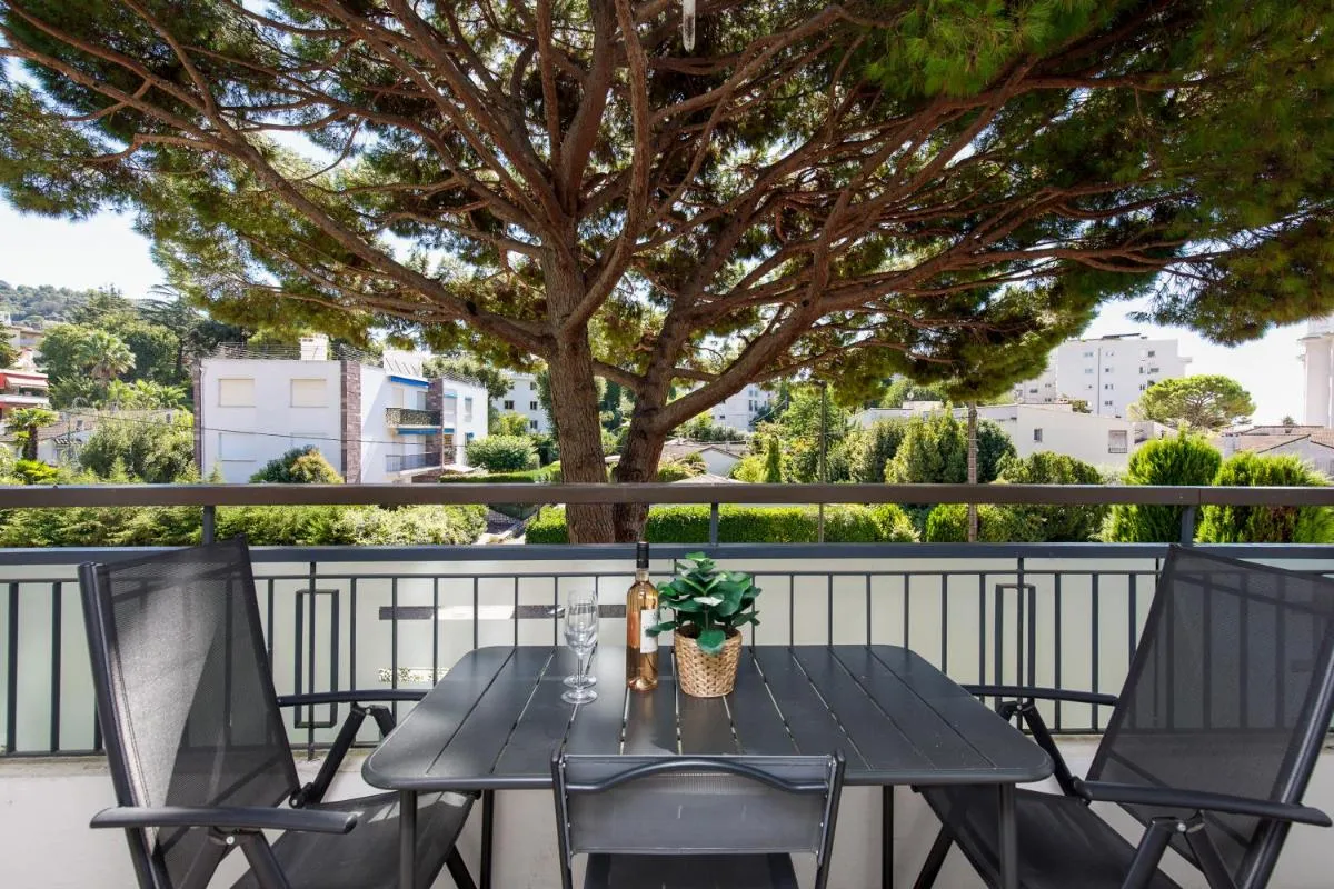 Image 2 of Studio très spacieux et Design LE BELLA Climatisé