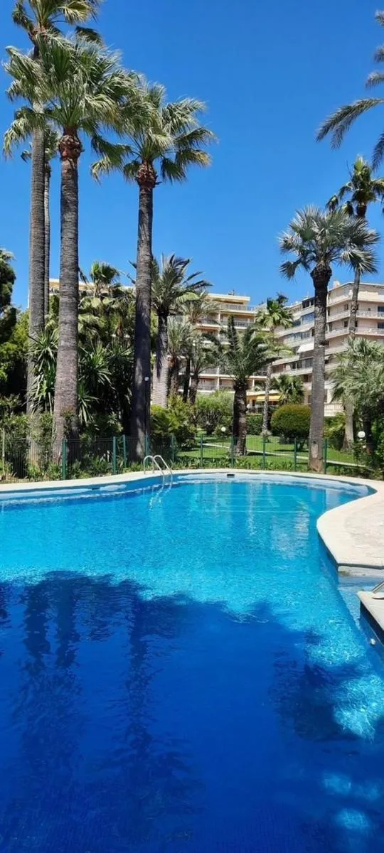 Image 4 of Superbes prestations terrasse piscine mer 350L