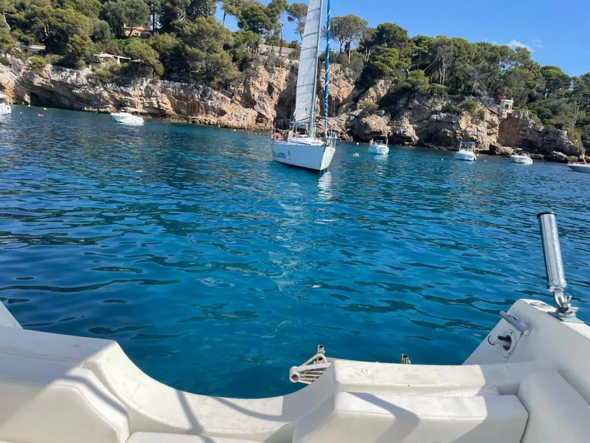 Image 4 of T2 Cannes center