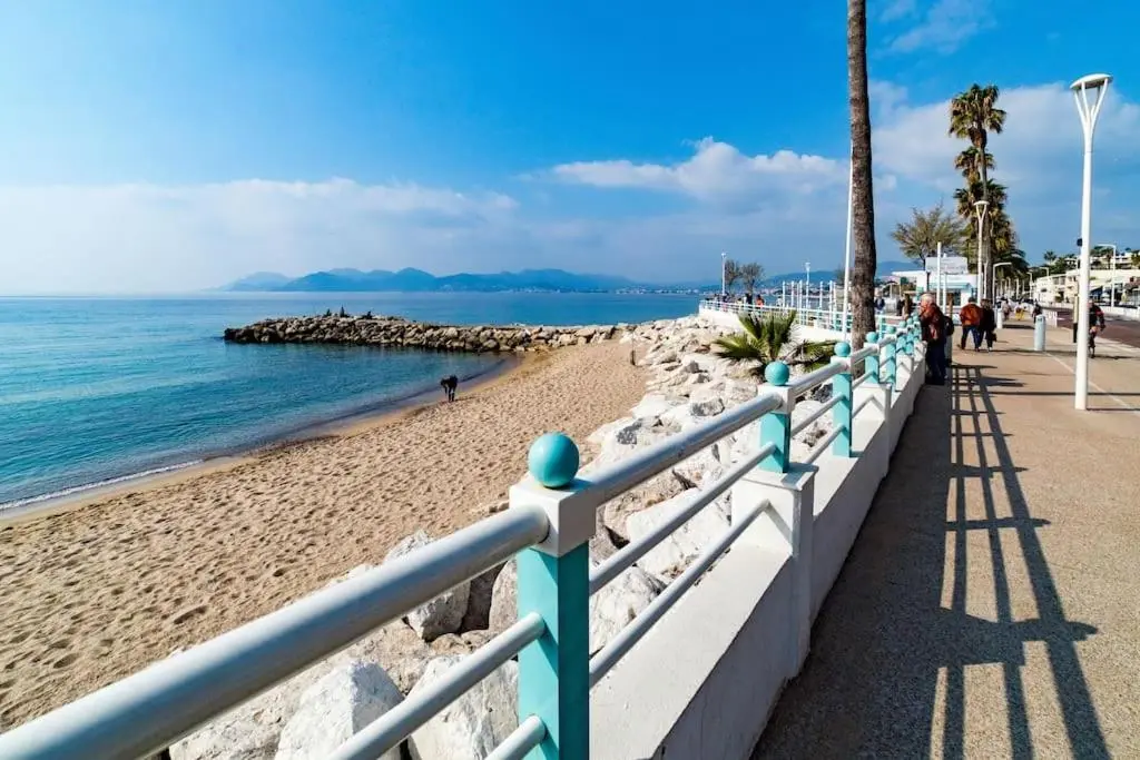 Image 1 of 3 pièces- Vieux port- Terrasse – Parking Possible