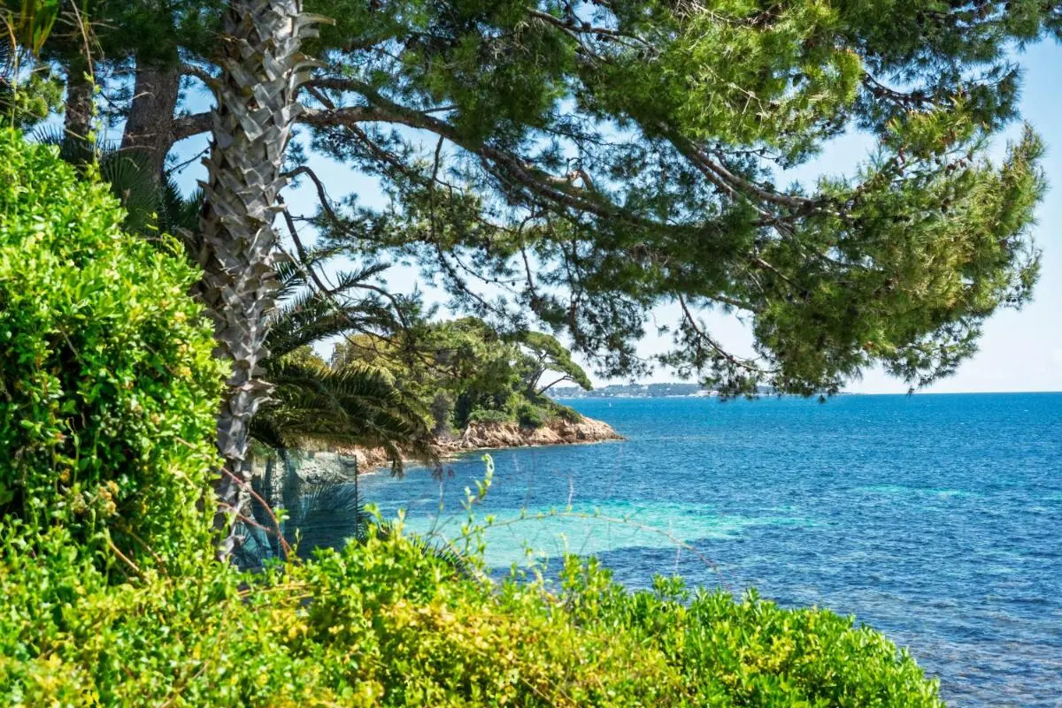 Image 5 of ADRIANA by Terry’s Homes WATERFRONT SEAVIEW BEACH