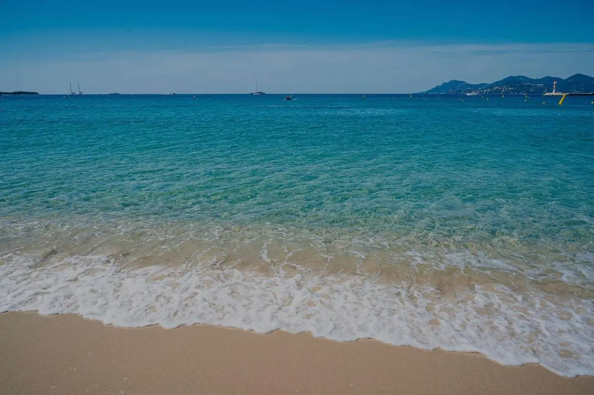 Image 5 of Appartement Loft ravissant de 60 m2 Nouveau