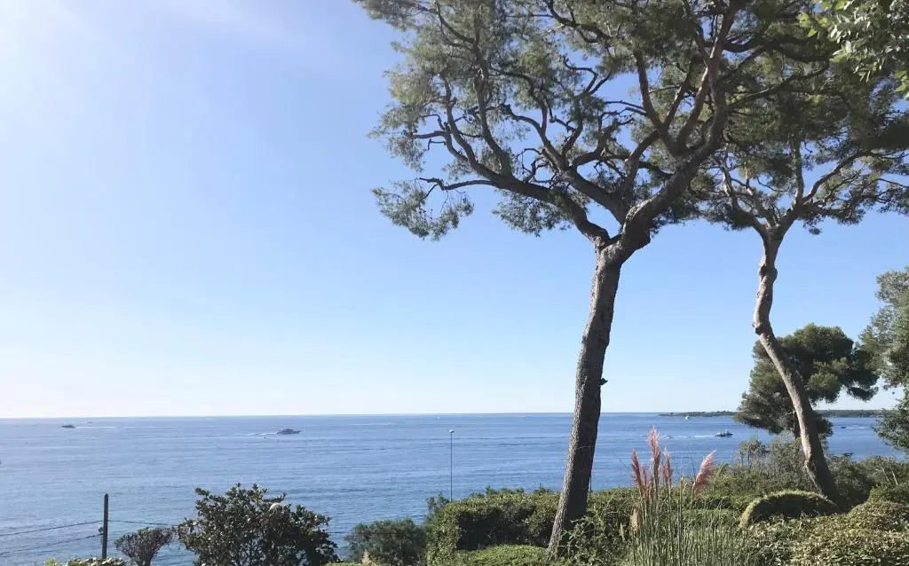Image of Cannes directly on the Sea