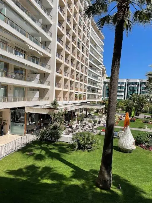 Image 5 of Eider croisette