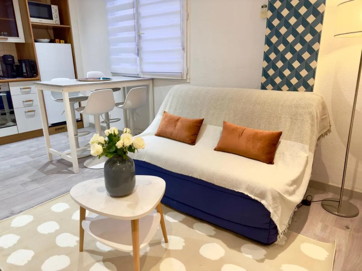 Image 1 of Grand studio confortable au coeur de Cannes