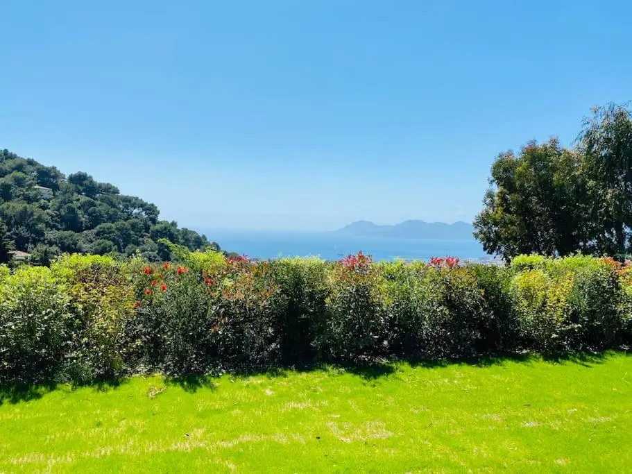 Image of Luxury villa in Cannes with swimming pool & sea view