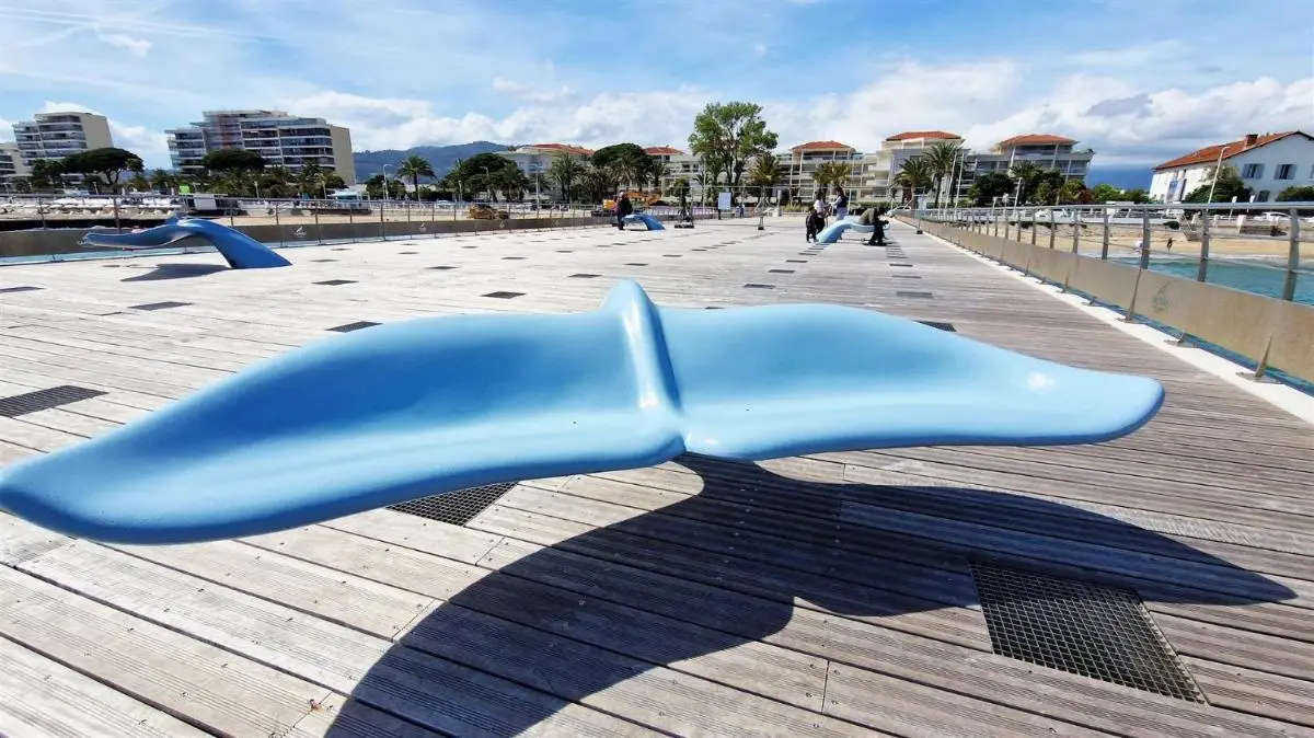 Image 2 of Ocean View Royal Palm