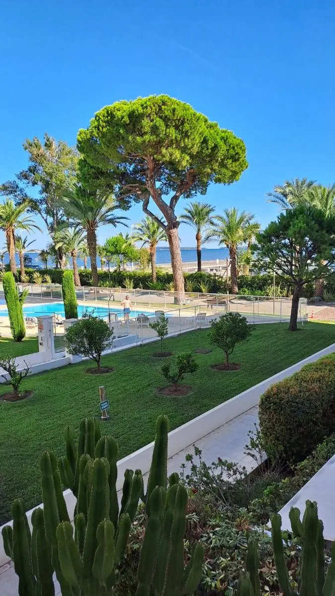 Image 5 of Ocean View Royal Palm