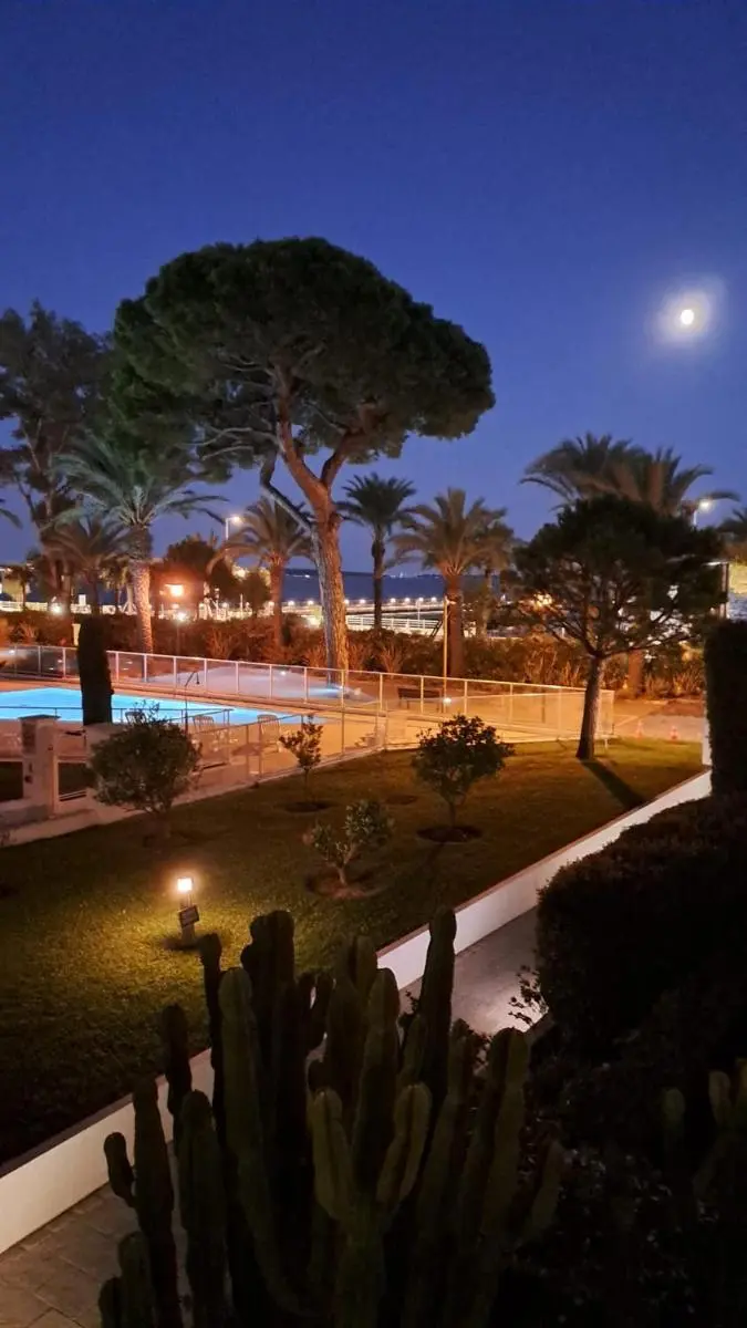 Image 3 of Ocean View Royal Palm