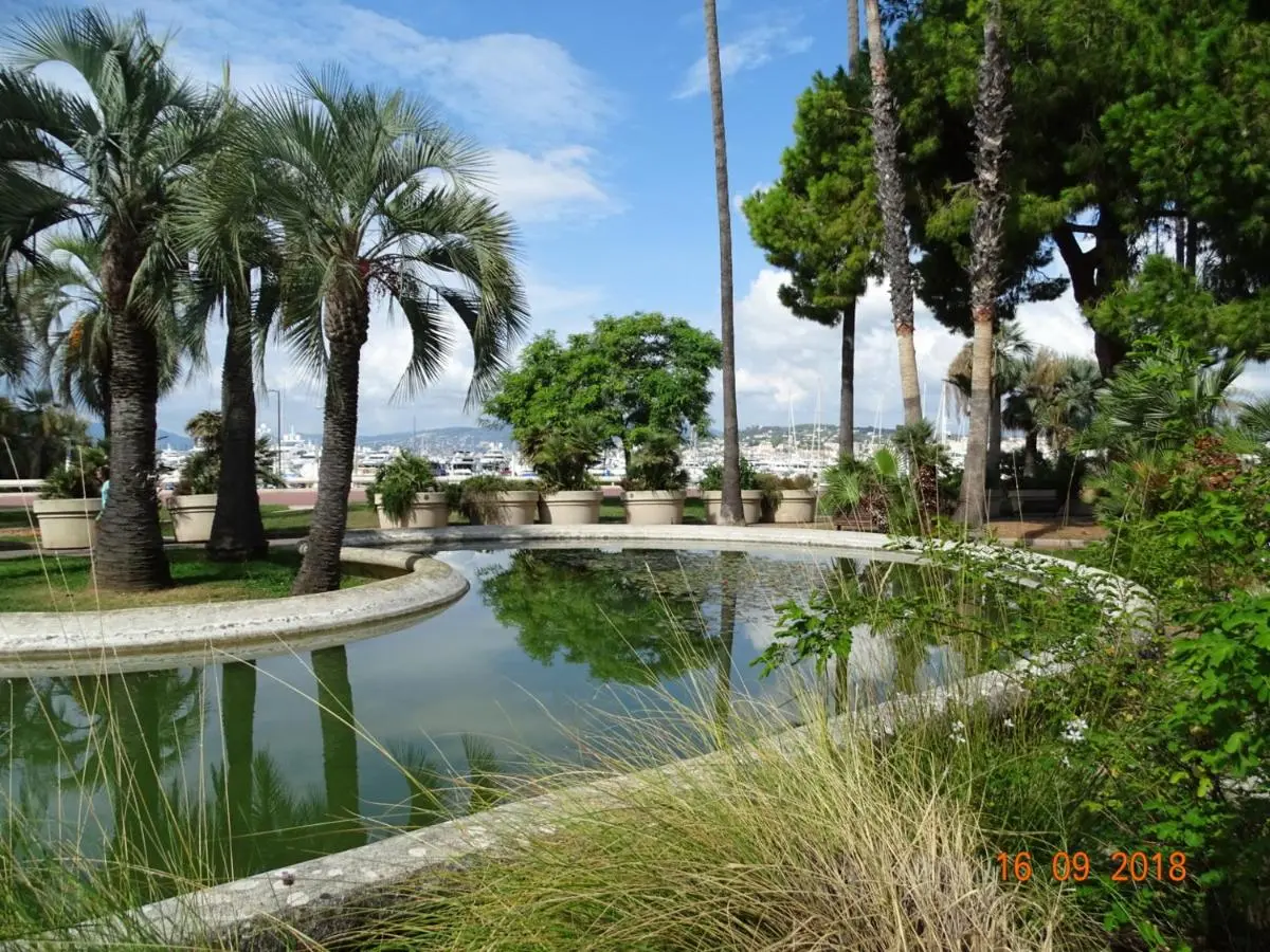 Image 5 of Palm beach Cannes Azur