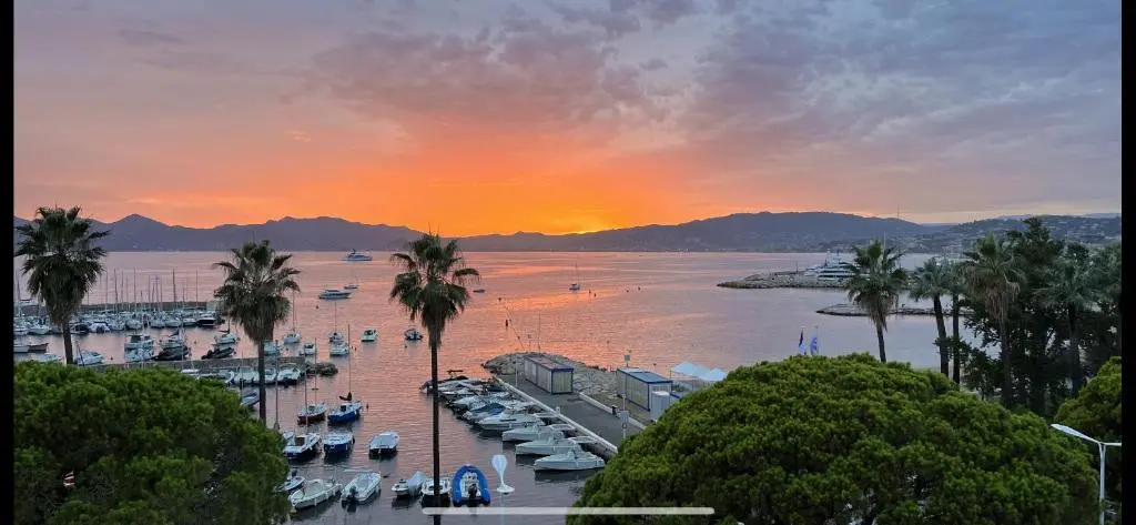 Image of Palm croisette front de mer1
