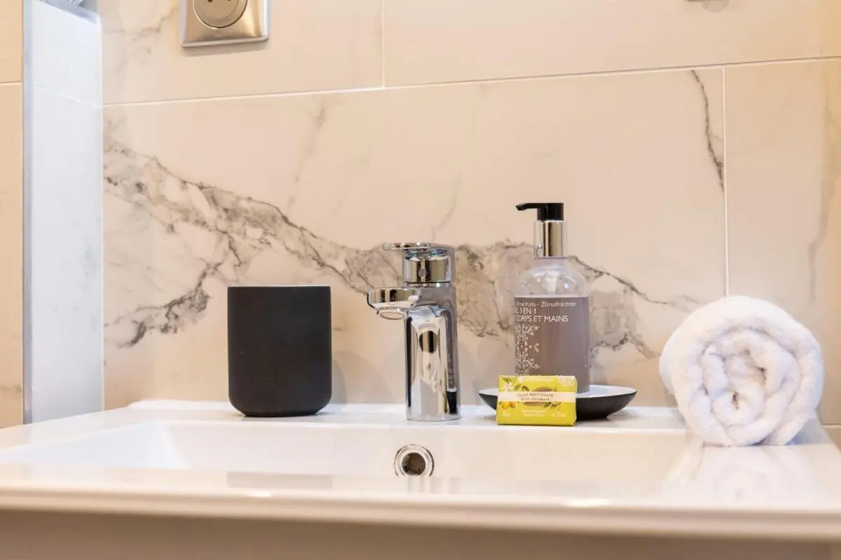 Image 5 of RARE ! Studio with terrace 5min walk to the Palais