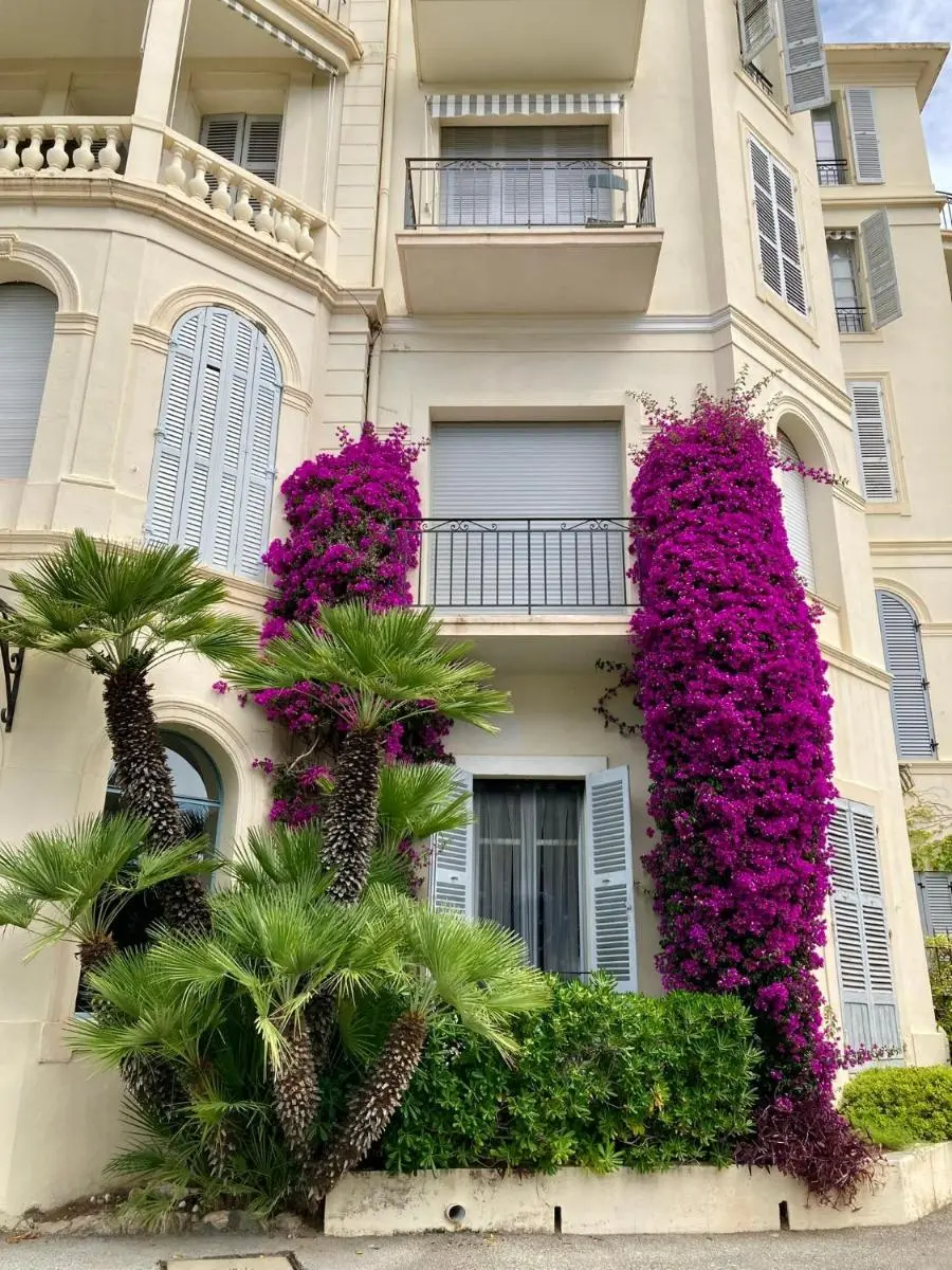 Image 5 of Superbe 2 pièces à Cannes