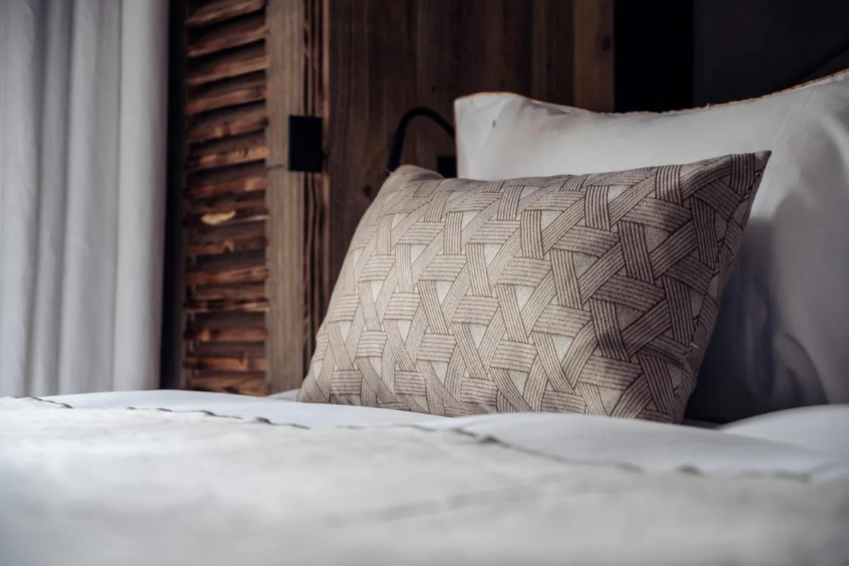 Image 2 of Antarès URSA 101 – luxury apartment ski inski out
