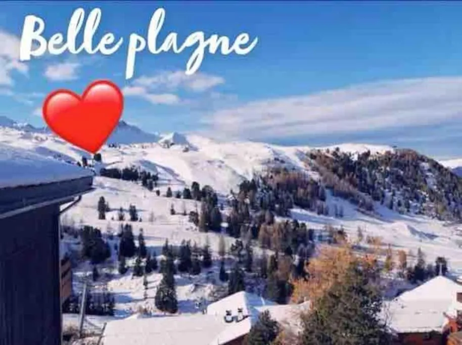 Image of Appartement BELLE PLAGNE et PARKING