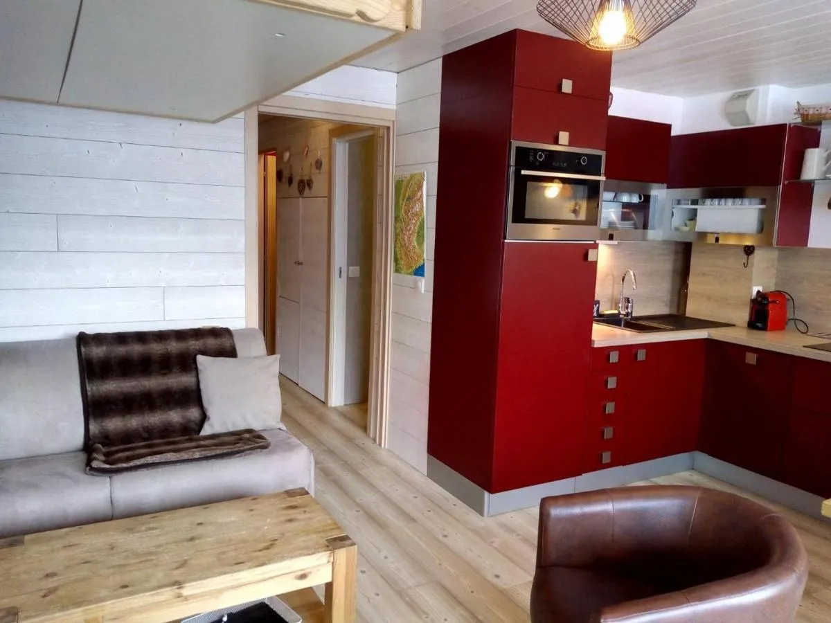Image 6 of Appartement cosy avec accès direct aux pistes, proche Lac de Tueda – FR-1-355-156