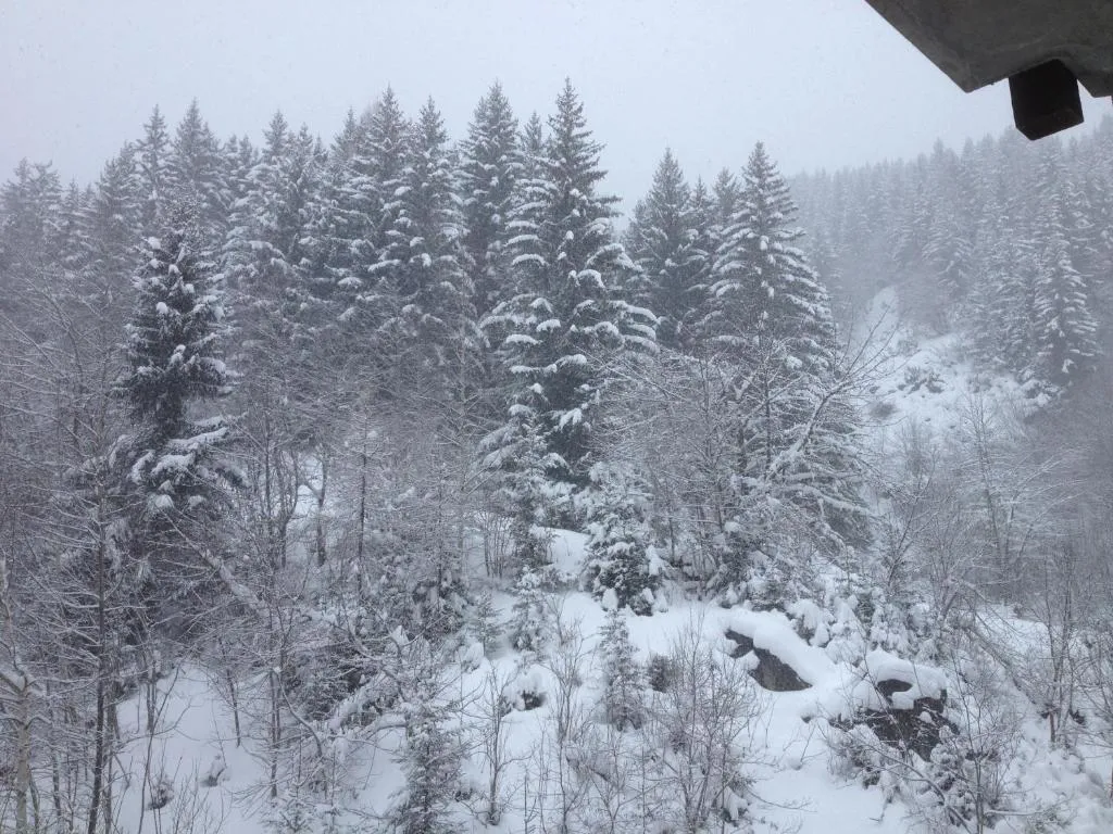 Image of LA TANIA COURCHEVEL 73120