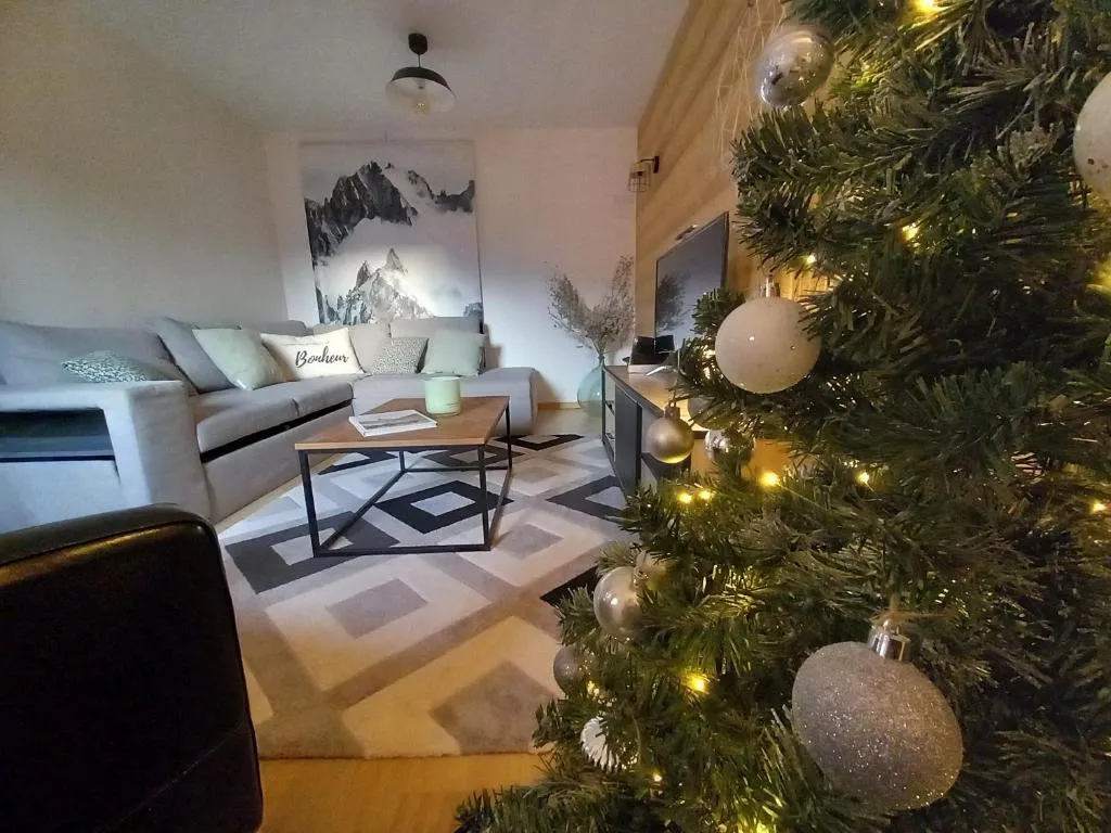 Image of LE ZÈDÈL – Duplex 100m2 vue montagne, au cœur de la Savoie, au pied des stations de ski