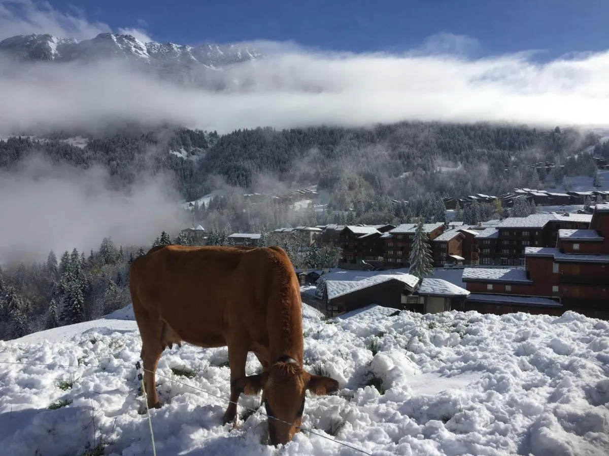 Image 1 of Le MAZOT chalet Lucie