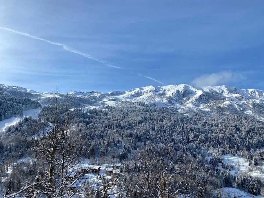 Image 3 of Les GRANDS SORBIERS à Méribel – Charmant studio situé à 2 pas des pistes & du centre de Méribel