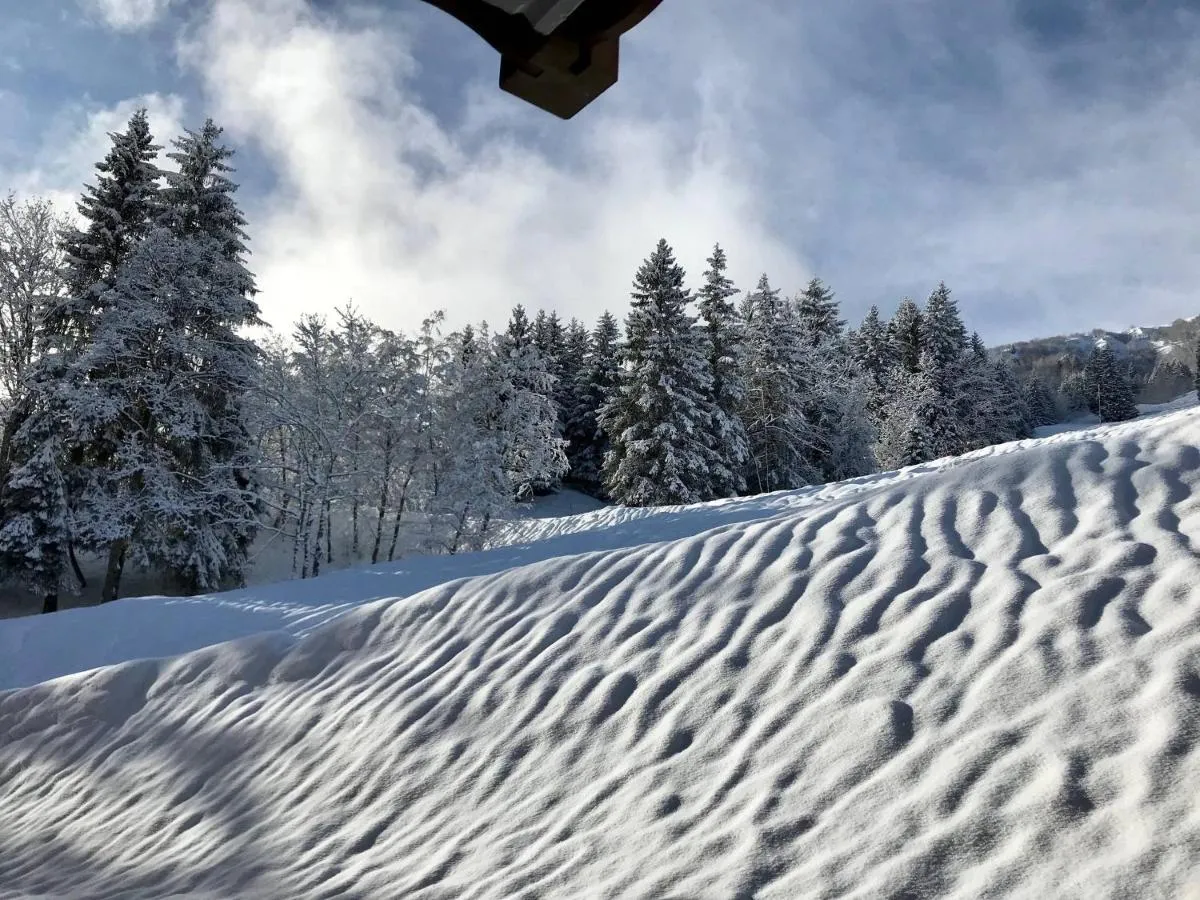 Image 5 of Superbe 3 pièces avec parking, wifi, proche pistes et commerces – FR-1-356-506