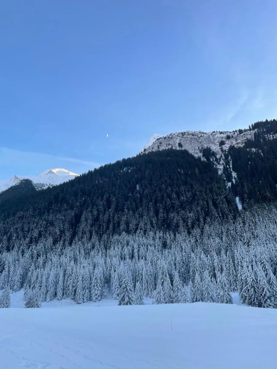 Image 1 of T2 Myrtille à Champagny Le Haut Vanoise
