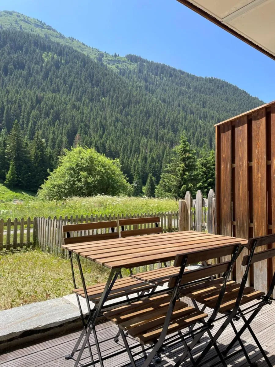 Image 1 of T2 vue sur le parc de la vanoise