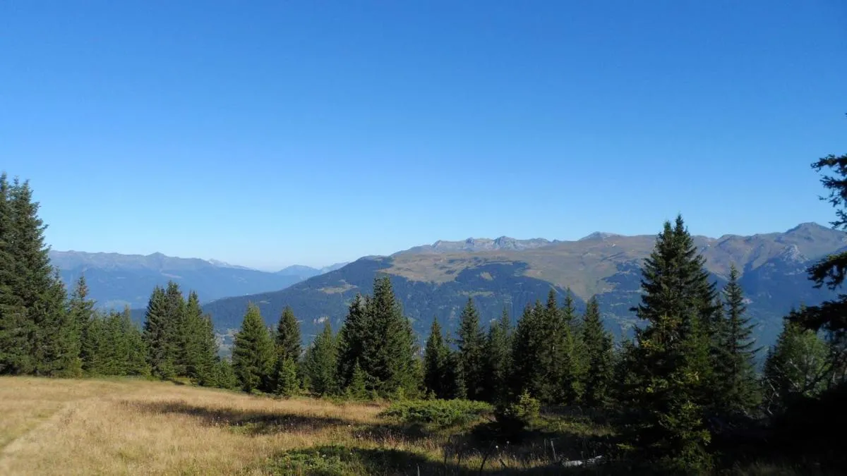 Image 5 of alpes studio