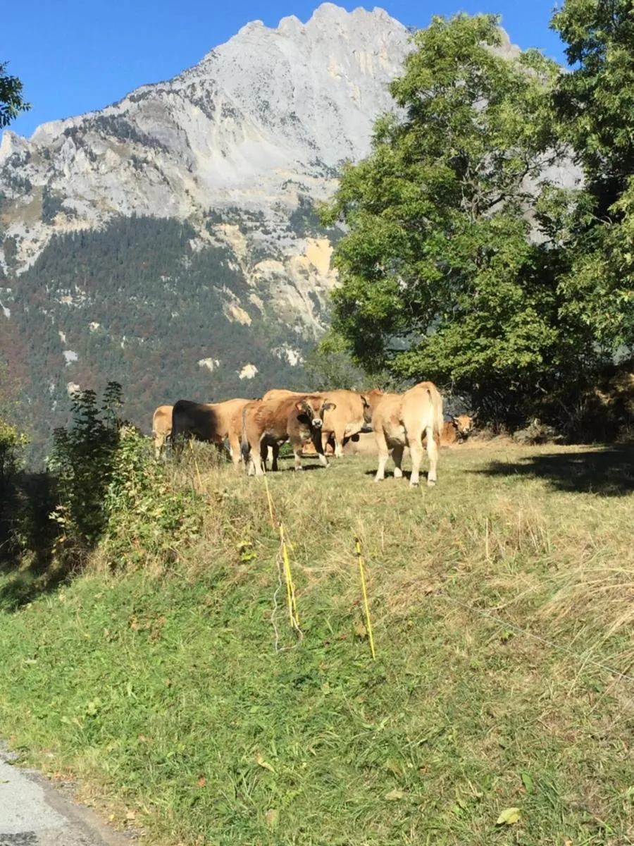 Image 2 of chalet st michel de maurienne