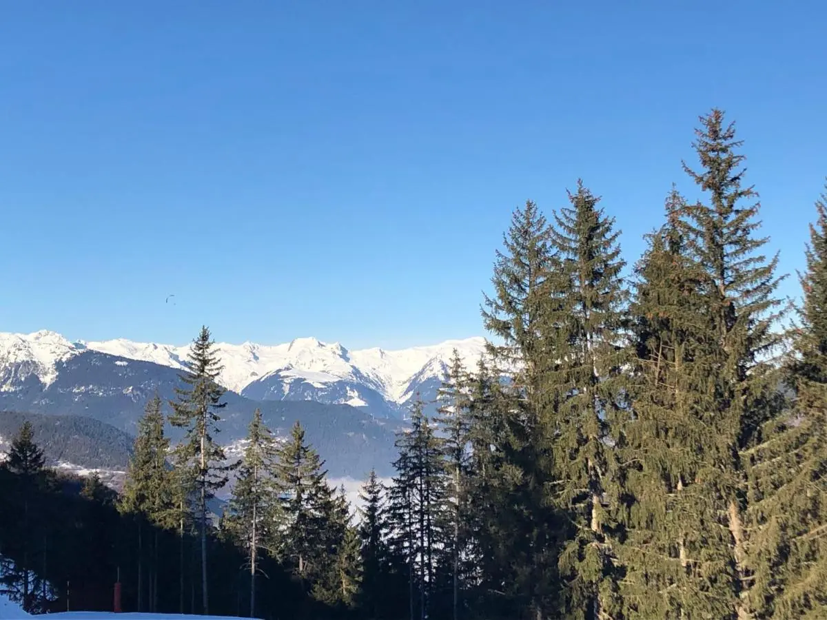 Image 5 of Appartement de charme Courchevel 1550
