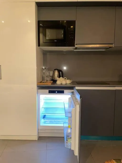 Image 4 of Best Panoramic (River& City)View