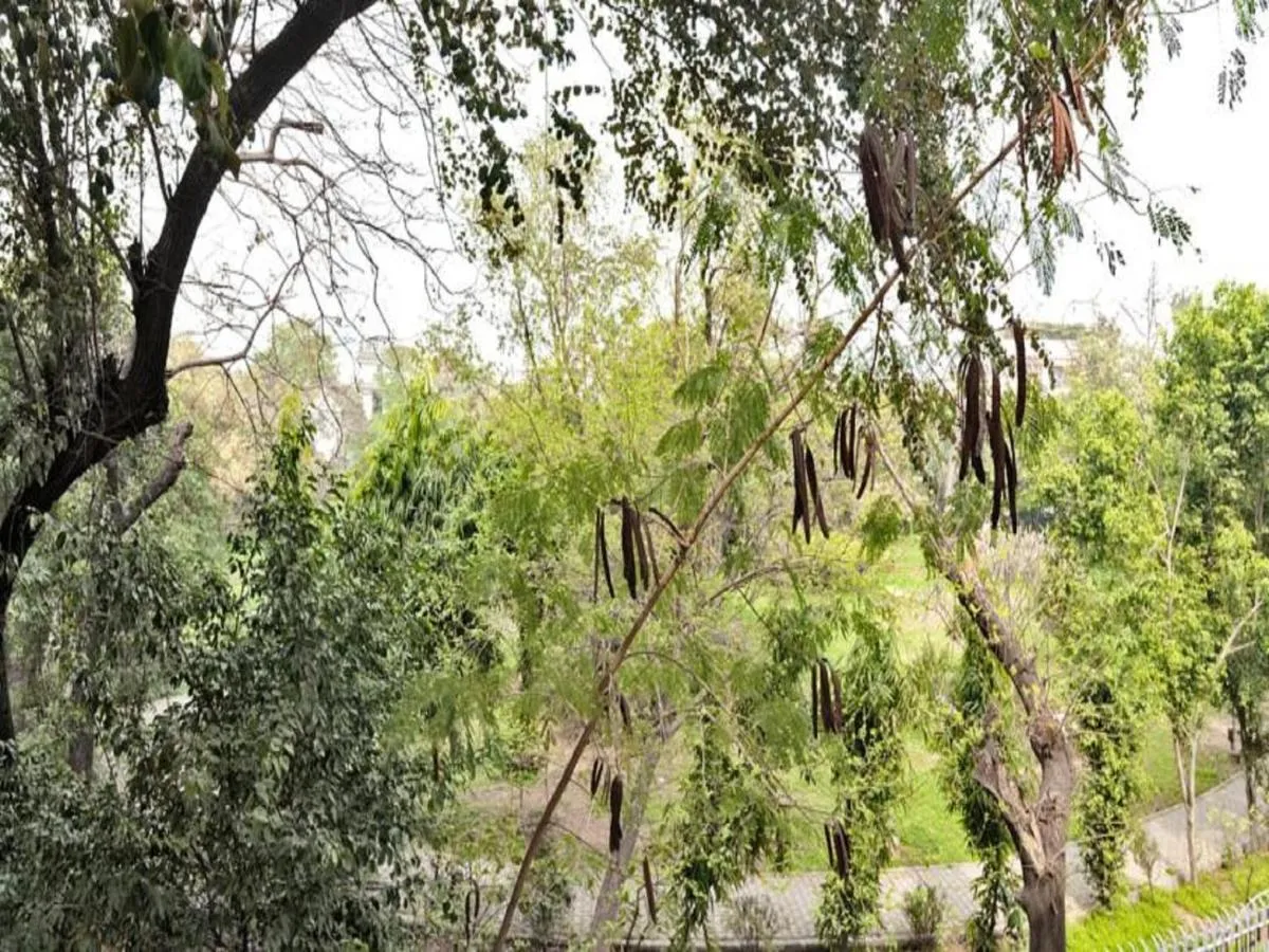 Image 6 of Haveli Hauz Khas