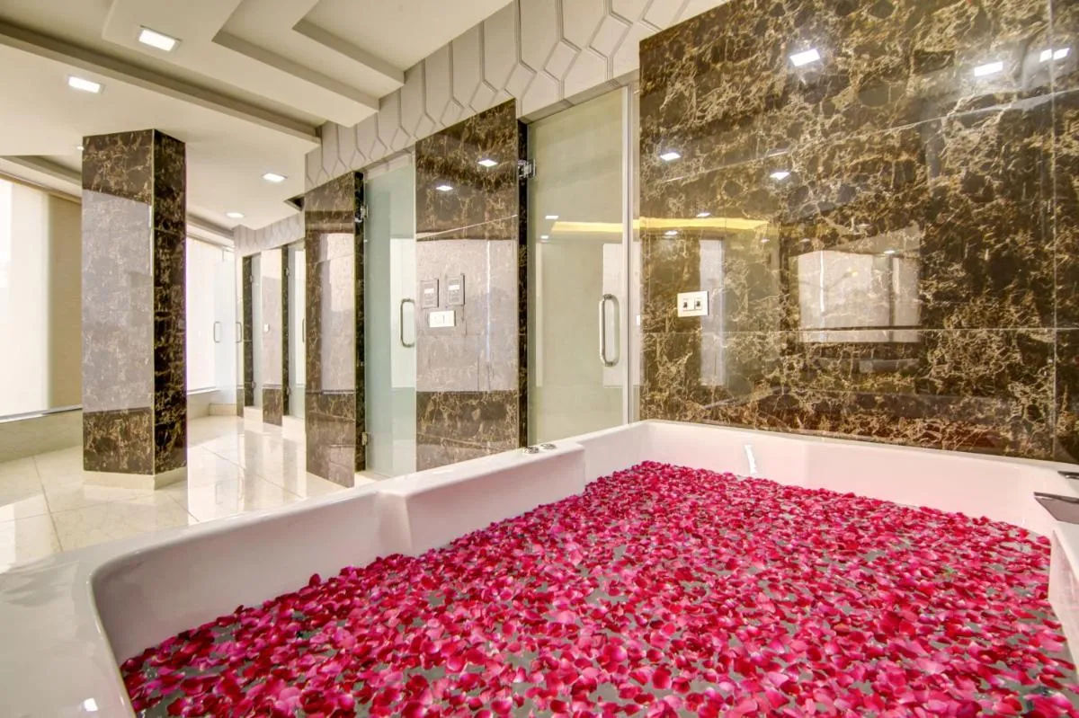 Image 2 of Hotel The Prithvi Delhi Airport With Airport Transsfer