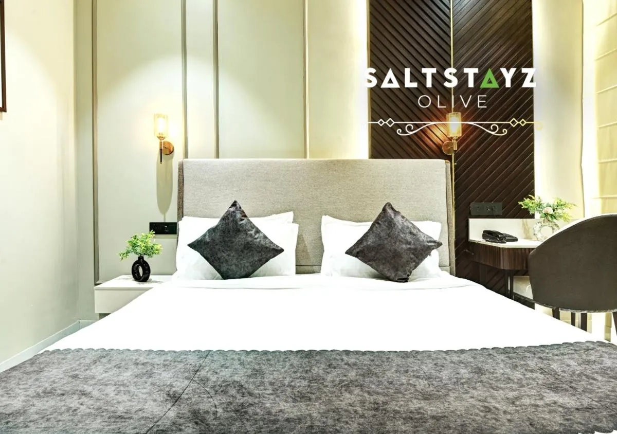 Image 1 of Saltstayz Select – Pitampura