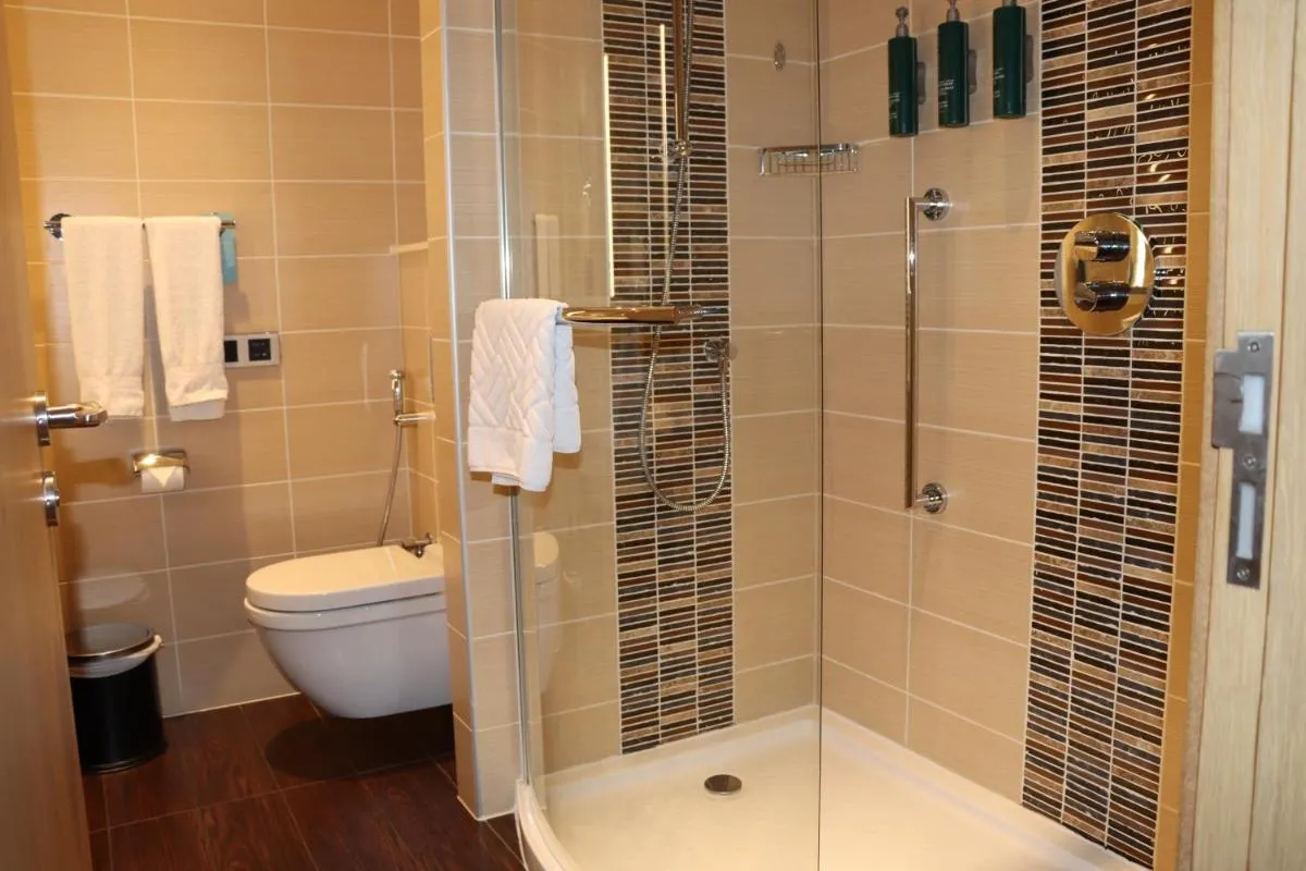 Hilton Garden Inn Dubai, Mall Avenue - 3