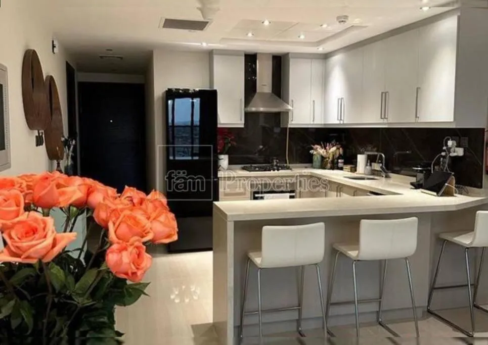 Spacious 1 Bed Huge Balcony Downtown Burj Khalifa - 2