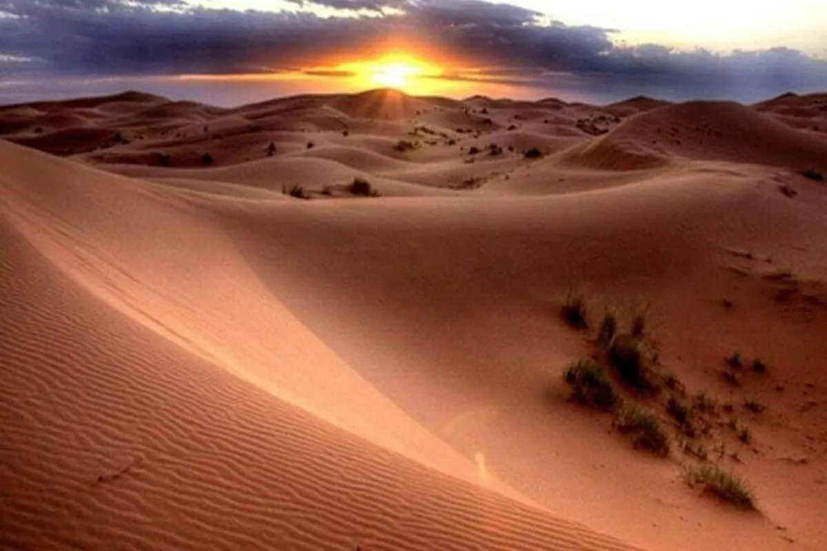 Image 6 of 1-Hour Dune Buggy Self-Drive, Camel Ride & Sandboarding Adventure