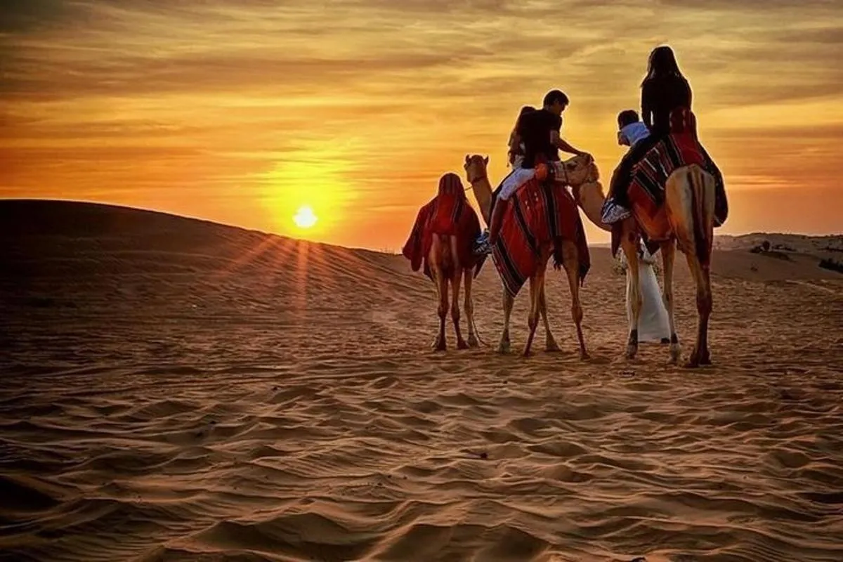 Image 4 of 1-Hour Quad Bike Adventure: BBQ Dinner, Sandboarding & Shows!