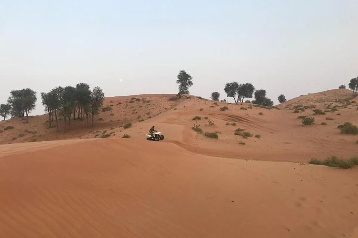 Image 6 of 2-Hour Quad Biking Guided Tour in the Desert of Ras al Khaimah